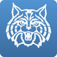 Wilmington Schools Wildcats Logo