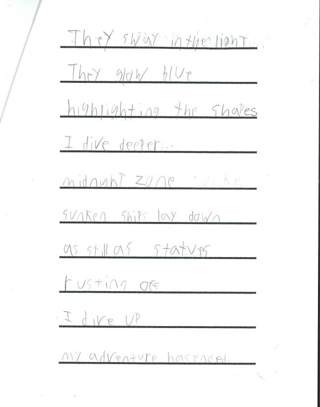 2nd Grade Honorable Mention - Luke DiGiovanni, Diving Deep 2