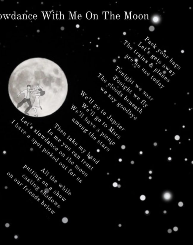 Adult Honorable Mention - Harley Monteiro, Slowdance With Me on the Moon