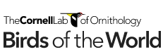 Birds of the World Logo