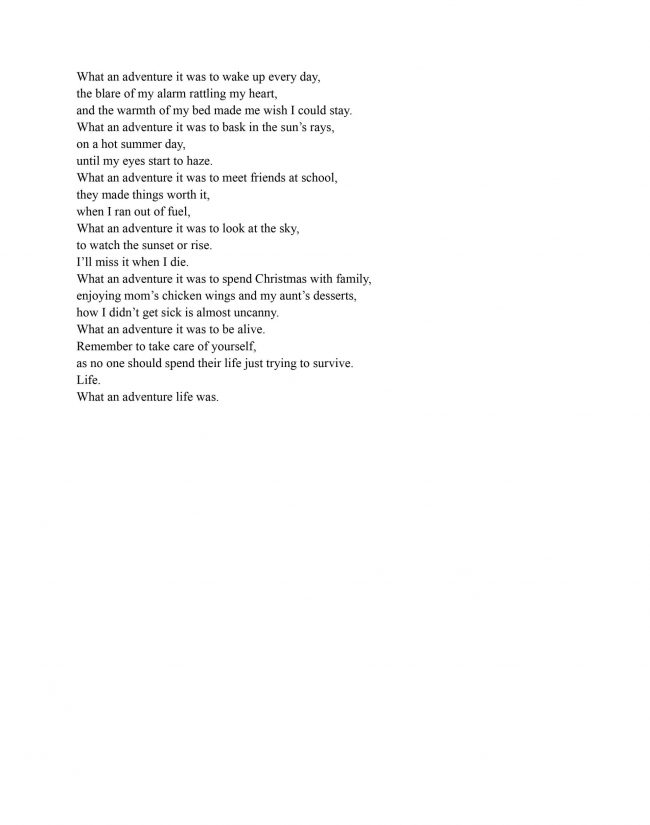 High School Honorable Mention - Madeline Kruger, The Adventure of Life