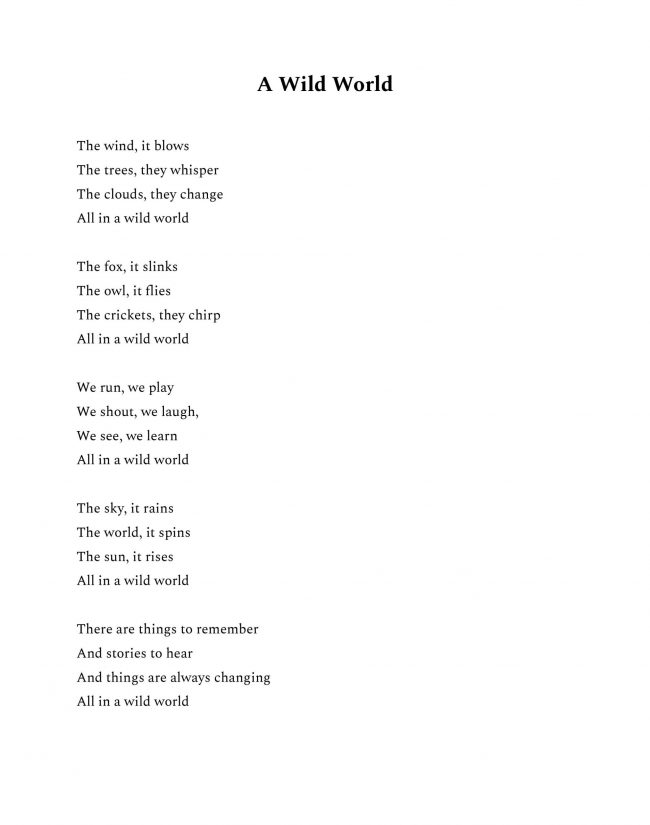 Middle School 1st Place - Emily Hall, A Wild World