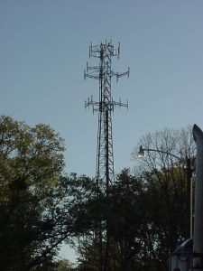 cell tower rising up above some trees